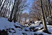 Sulle nevi del RESEGONE ad anello da Fuipiano Valle Imagna il 13 novembre 2019 - FOTOGALLERY